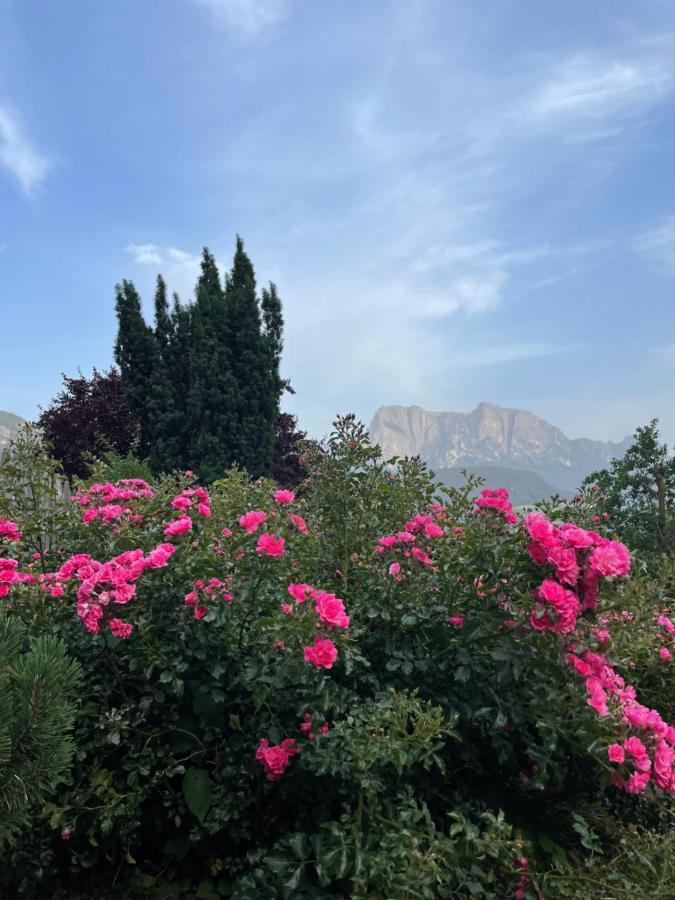 Gasserhof Μπαρμπιάνο Εξωτερικό φωτογραφία