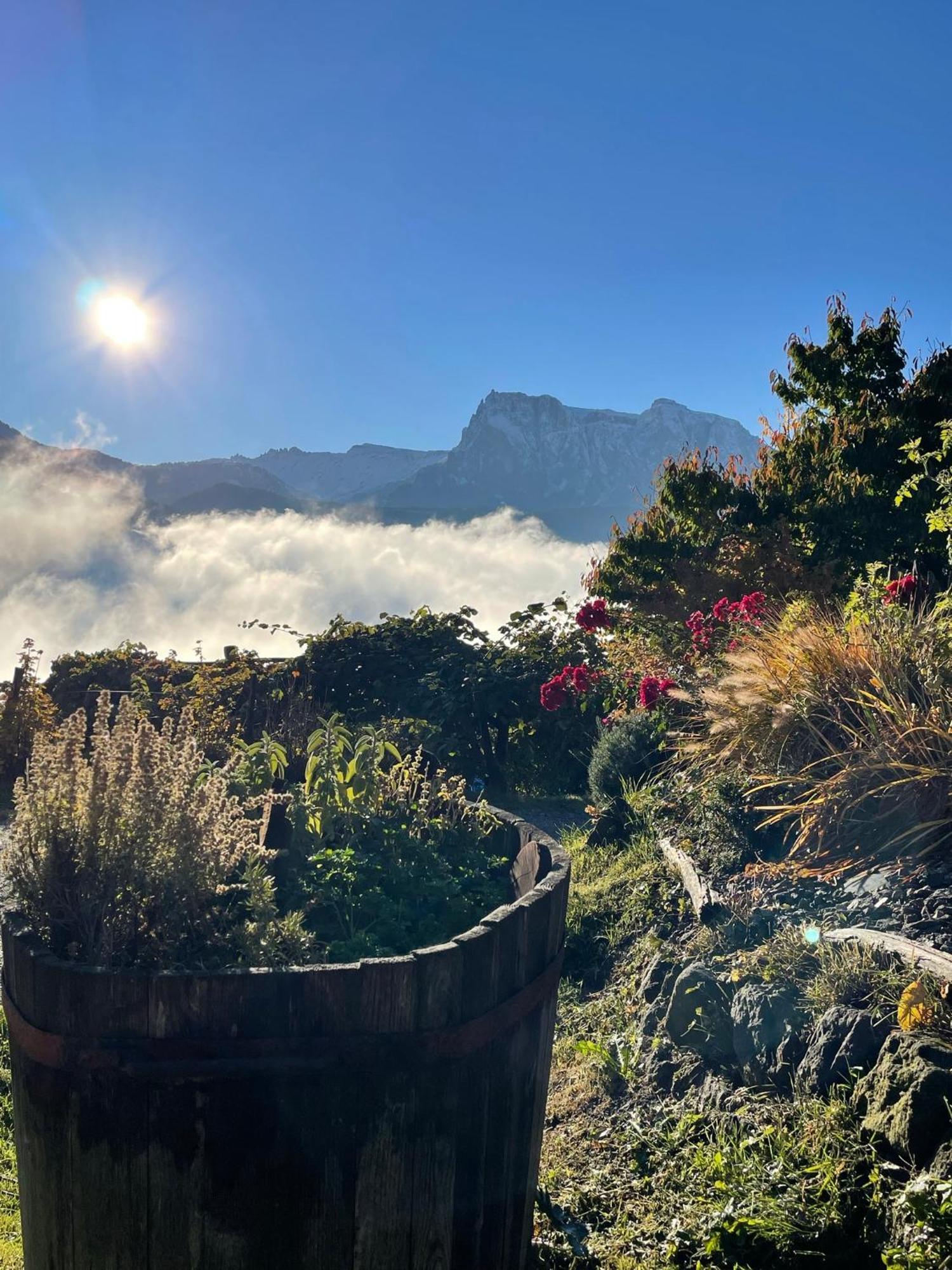 Gasserhof Μπαρμπιάνο Εξωτερικό φωτογραφία