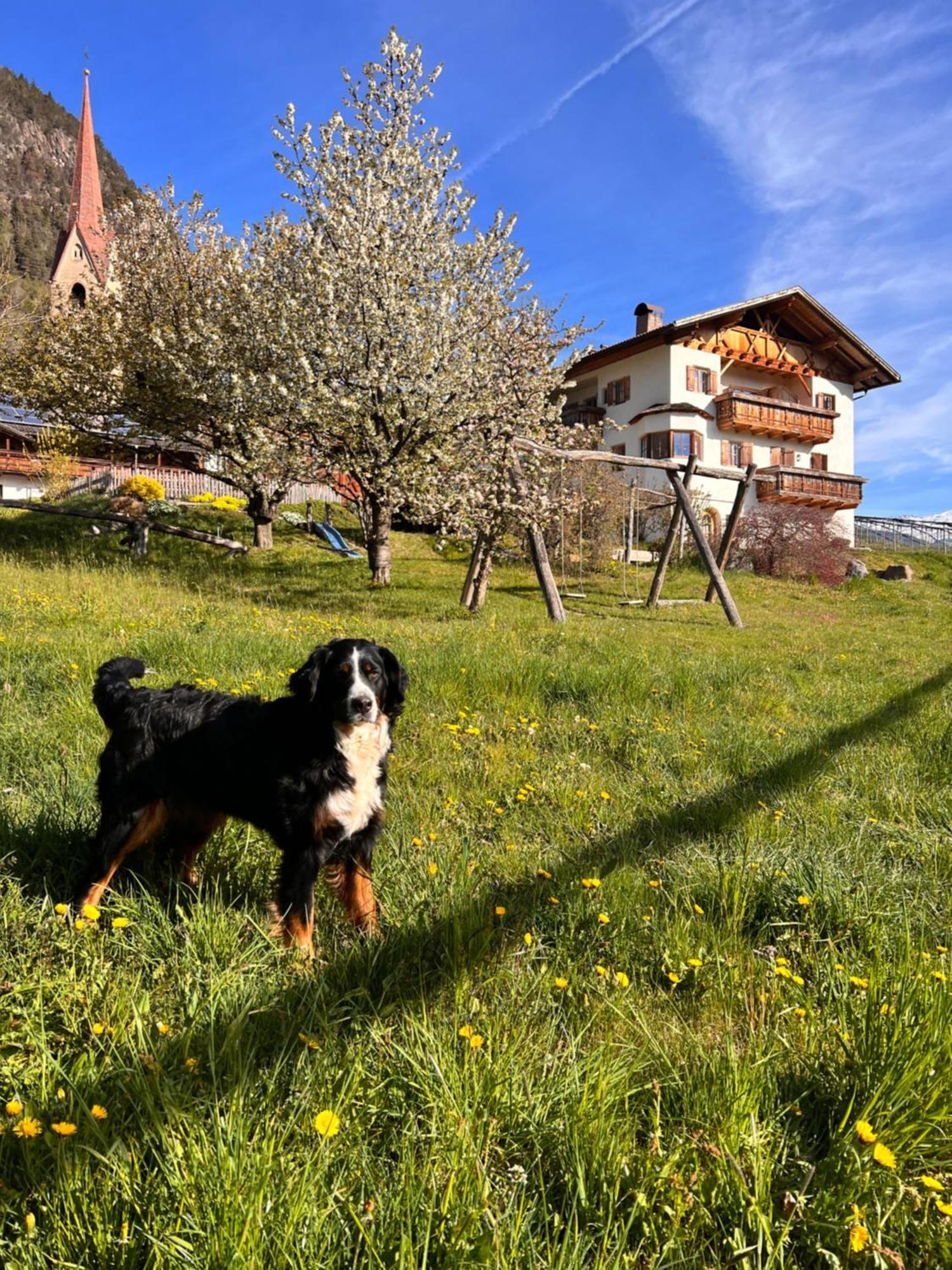 Gasserhof Μπαρμπιάνο Εξωτερικό φωτογραφία