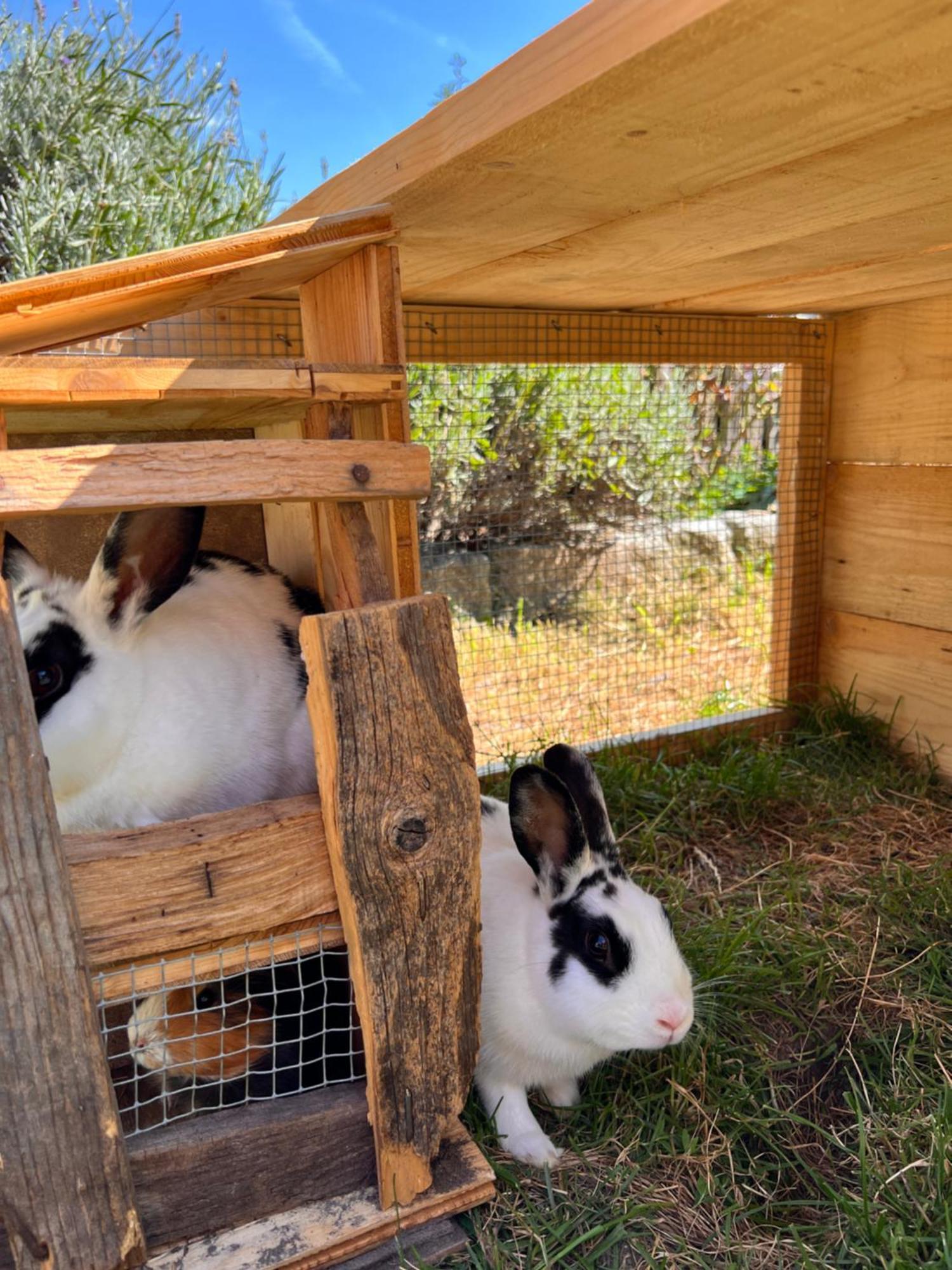 Gasserhof Μπαρμπιάνο Εξωτερικό φωτογραφία