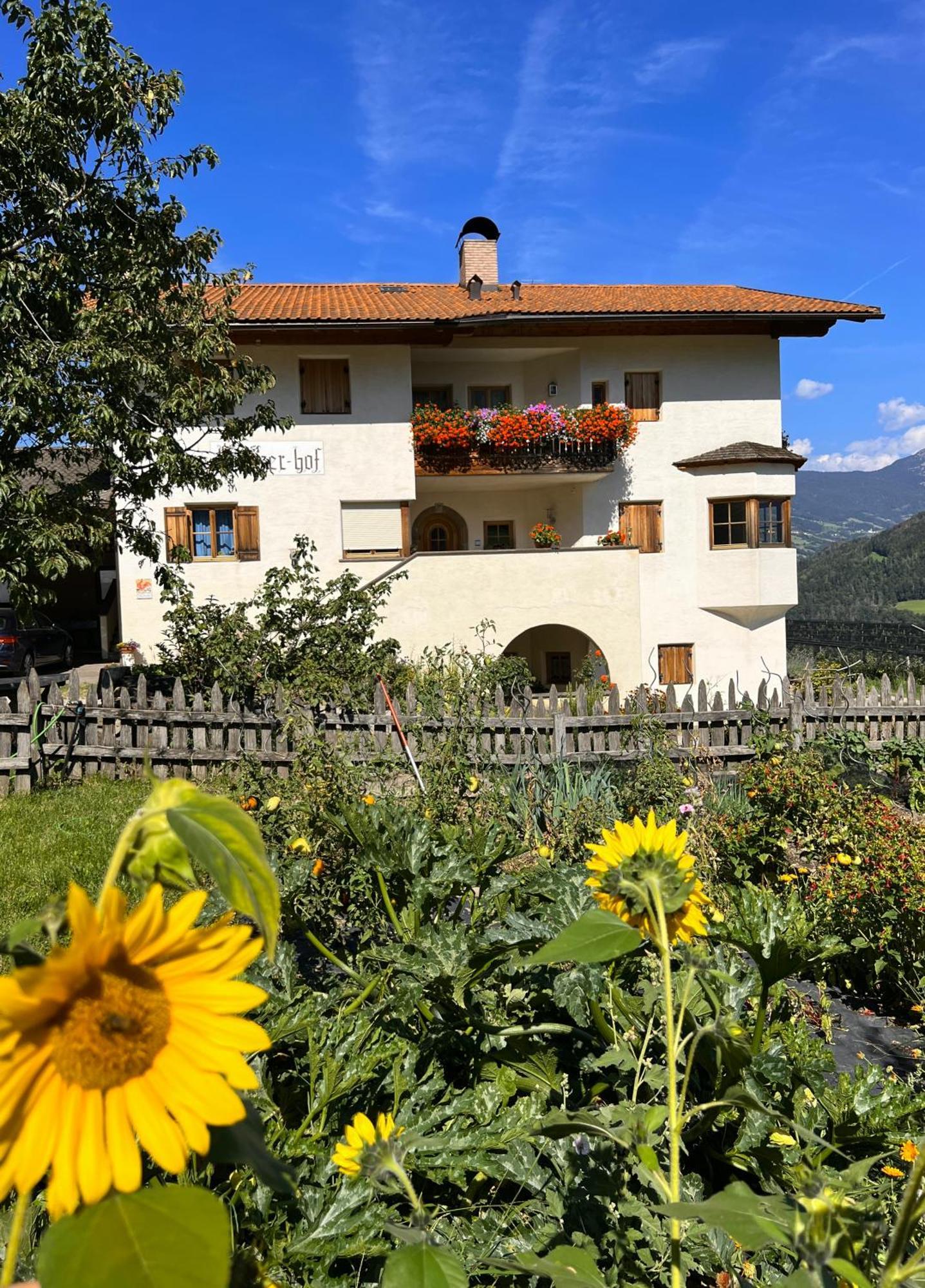 Gasserhof Μπαρμπιάνο Εξωτερικό φωτογραφία